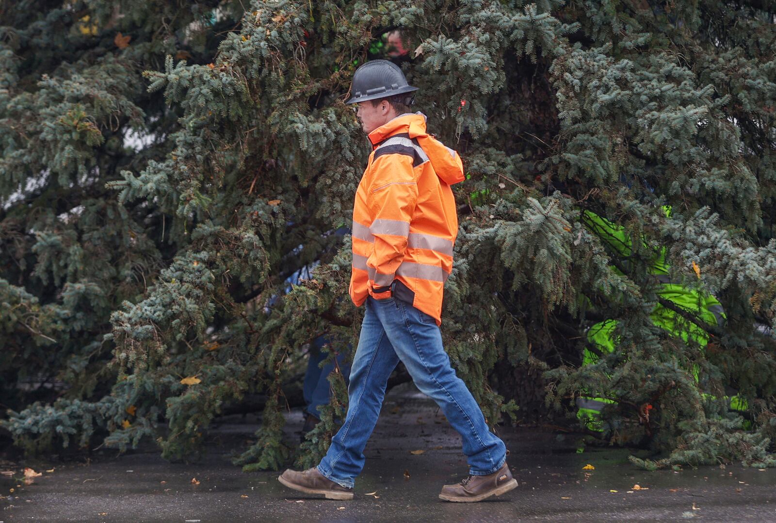 A construction crew works to put a Christmas tree up  on Friday, November 7, 2025, in downtown Springfield. JOSEPH COOKE/STAFF
