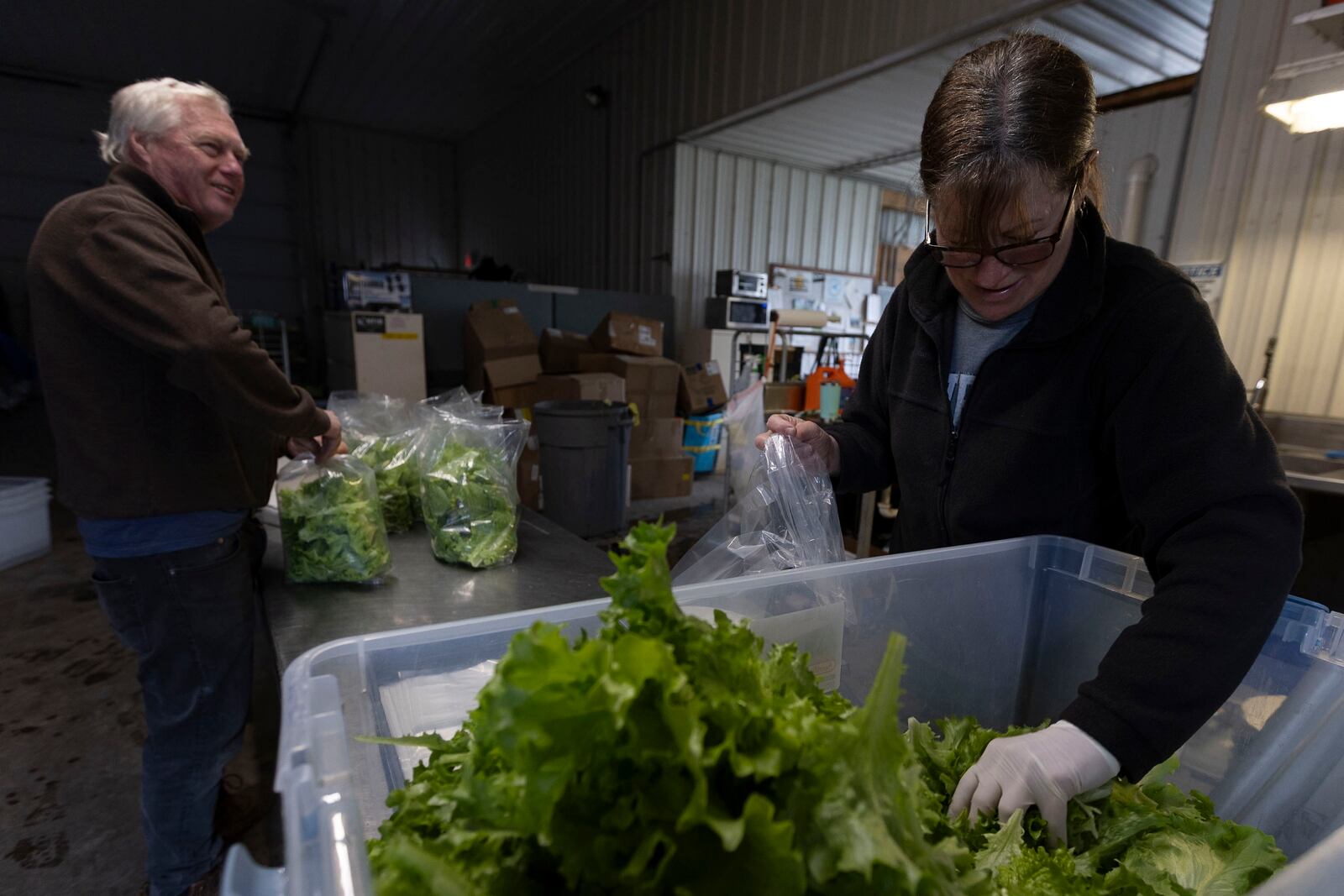 Janet Vandenberg, right, an employee of Bolton Farms, speaks with owner John Bolton as they prepare spring mix bags at Bolton Farms on Saturday, March 22, 2025, in Hilton, N.Y. (Caitlyn Daproza via AP)