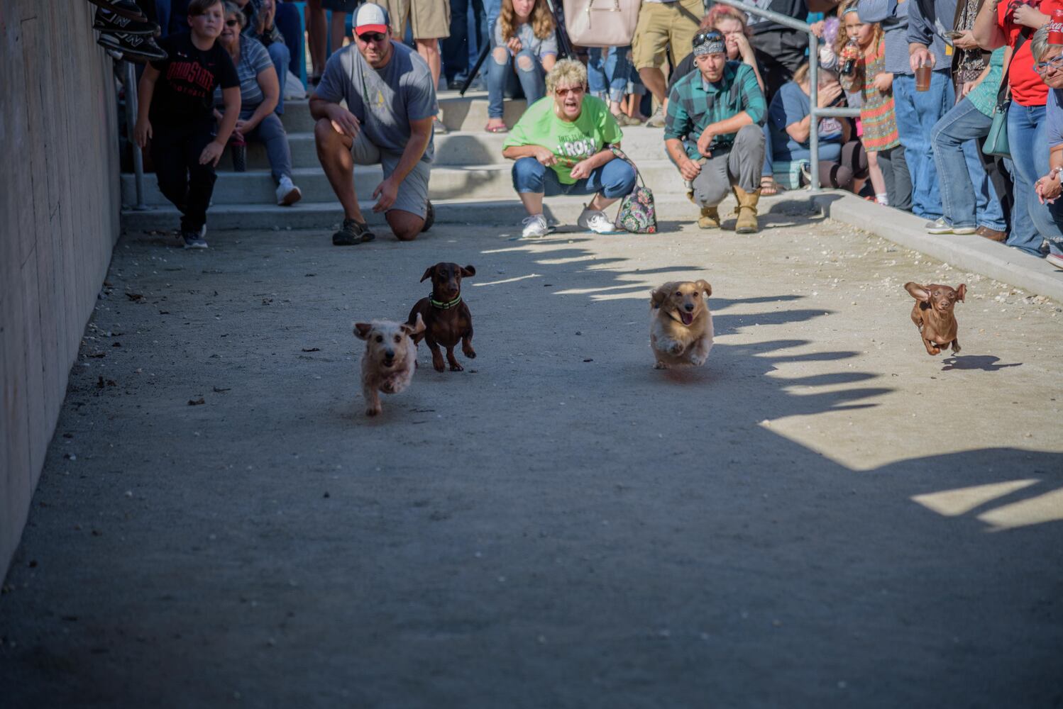 PHOTOS: Did we spot you keeping the Oktoberfest celebrations going this weekend?