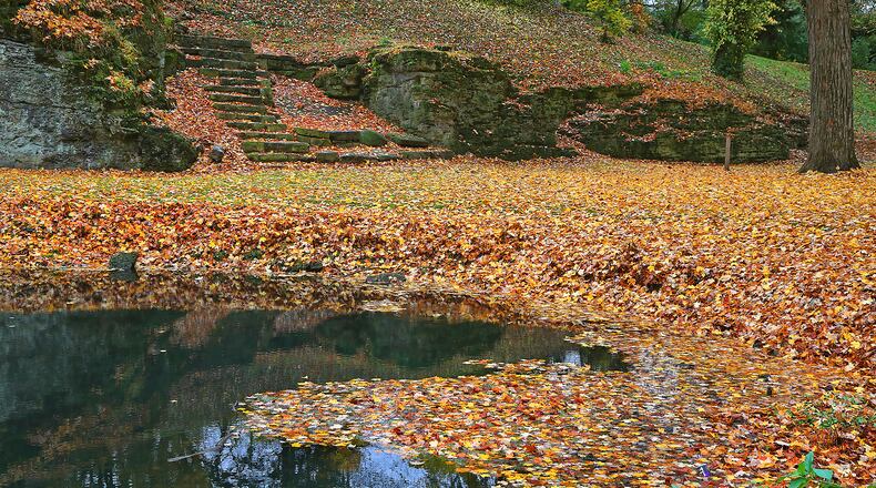 As the air gets cooler and days get shorter, the trees in the Clark County area have began to show their fall colors. With patches of bright reds and yellows mixed in with the green leaves, Mother Nature is letting us know that winter is on it's way. BILL LACKEY/STAFF
