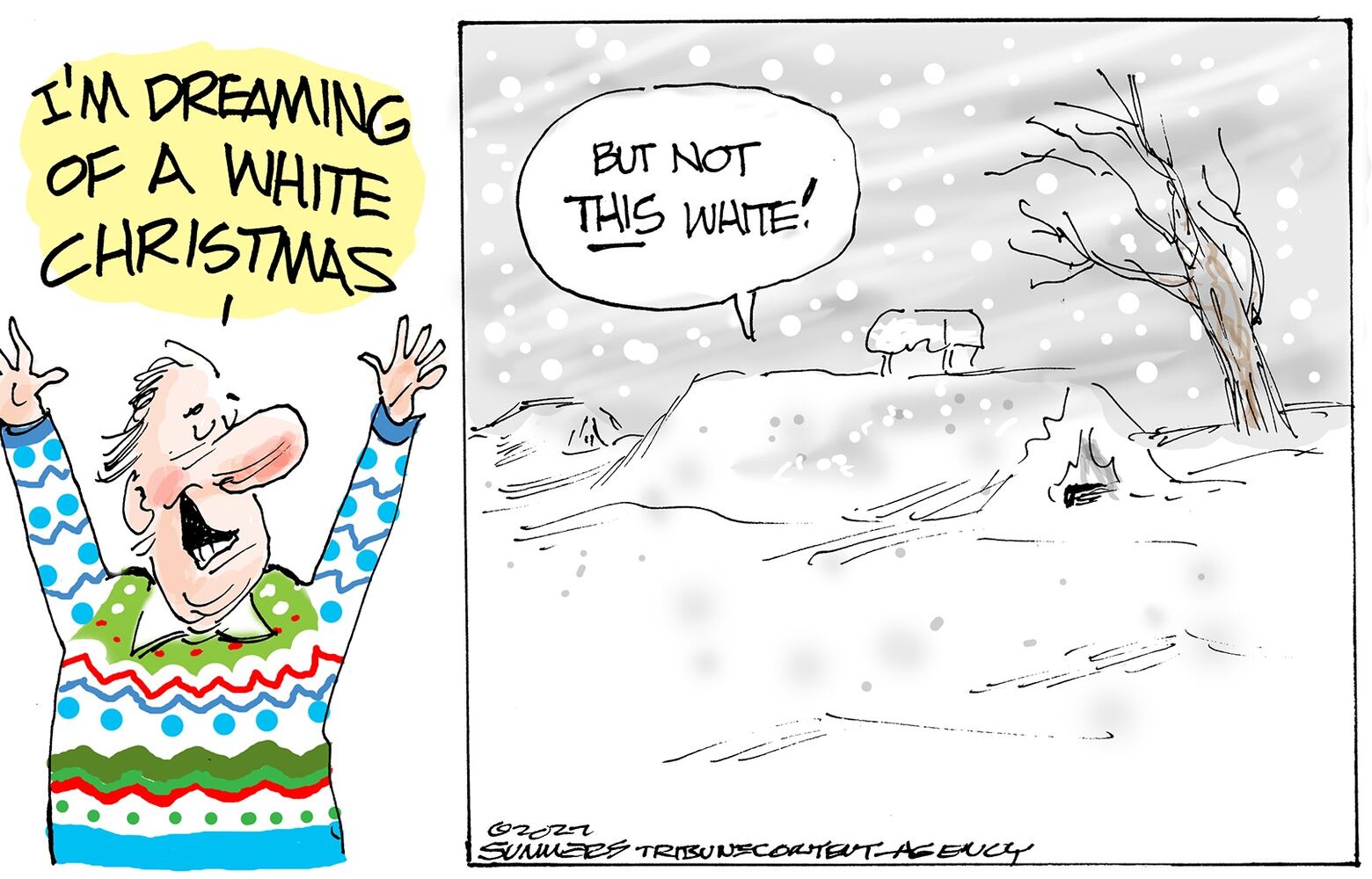 WEEK IN CARTOONS: New Year, Southwest, George Santos and more