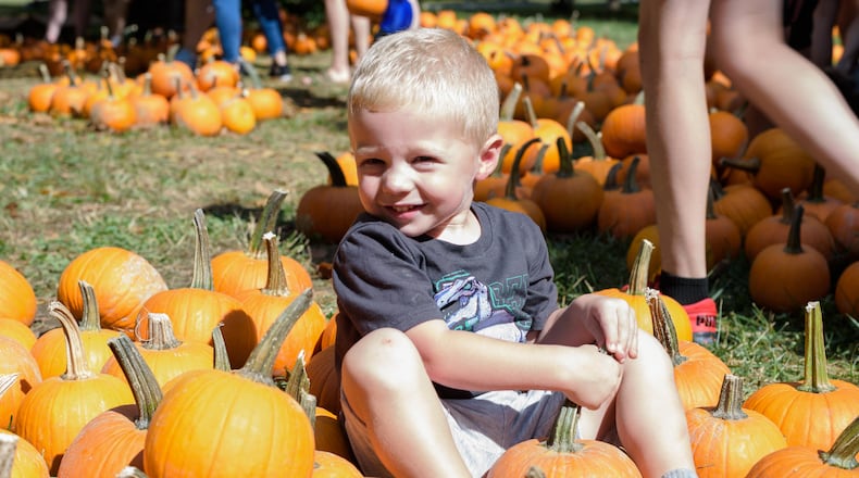 Fall is the perfect time for pumpkin fun. TOM GILLIAM / CONTRIBUTING PHOTOGRAPHER