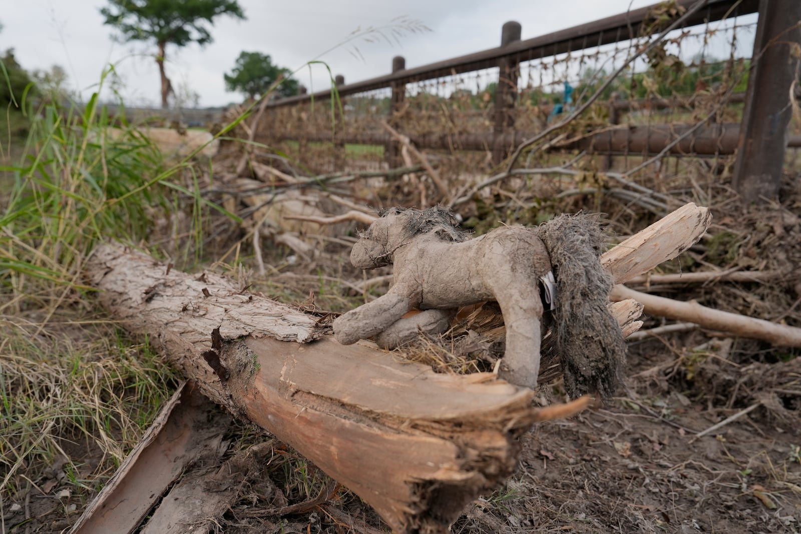 A toy horse is left with fallen tree limbs and debris after flooding in Kerrville, Texas on Wednesday, July 9, 2025. (AP Photo/Ashley Landis)