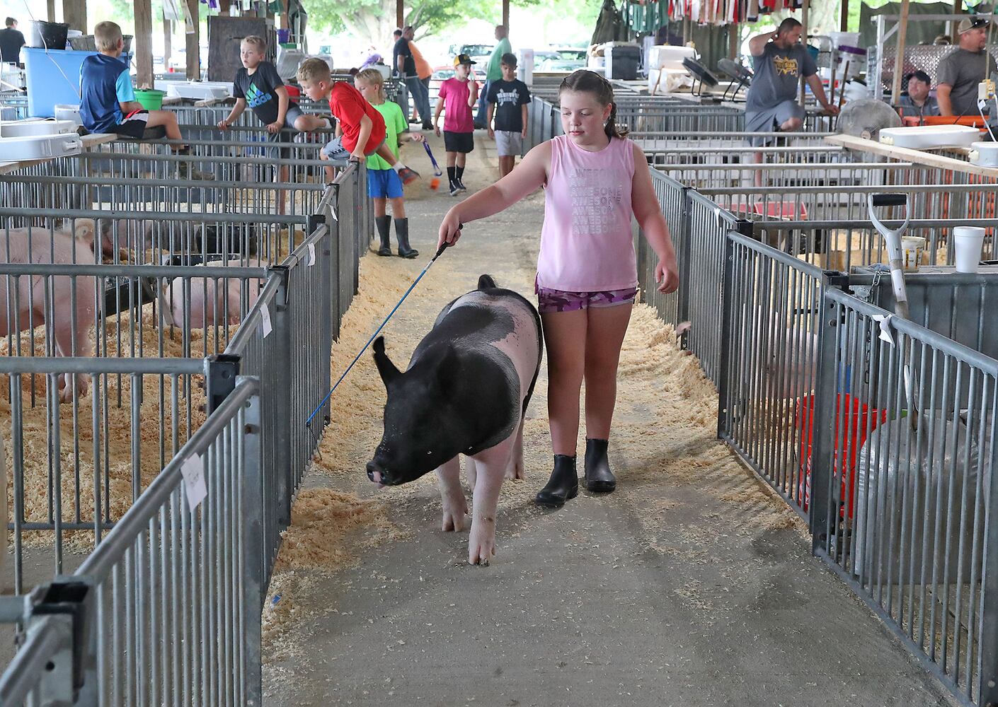 Champaign Fair SNS