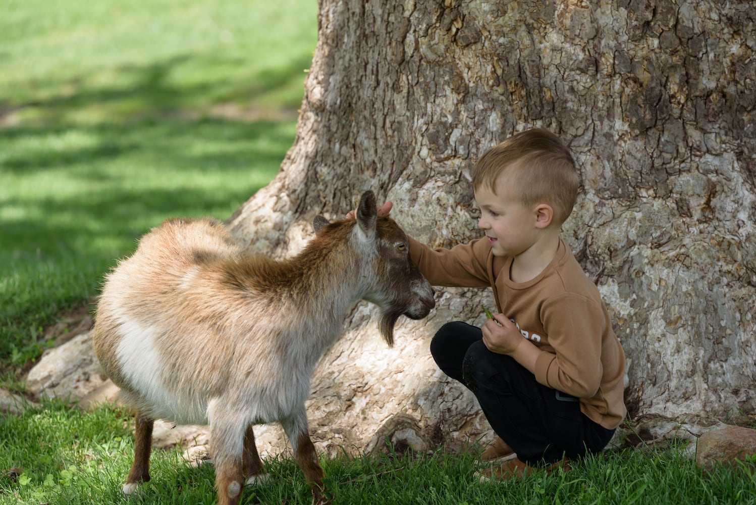 PHOTOS: Wooly Wonders - Spring on the Farm Family Event at Learning Tree Farm
