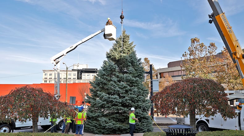 A crew from the City of Springfield works to set the annual Holiday in the City community Christmas tree into place Friday, Nov. 4, 2022, on the downtown esplanade. This year's tree was donated by Steve Hamilton on Reno Road. The tree will be decorated with thousands of LED lights and officially illuminated with the rest of downtown during the Holiday in the City celebration on Nov. 25. BILL LACKEY/STAFF