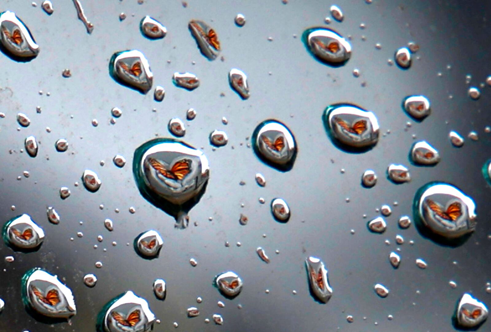 The "Transformation" butterfly mural on the back of the State Theater is reflected in the tiny drops of water on a car window Wednesday, Jan. 24, 2024. BILL LACKEY/STAFF