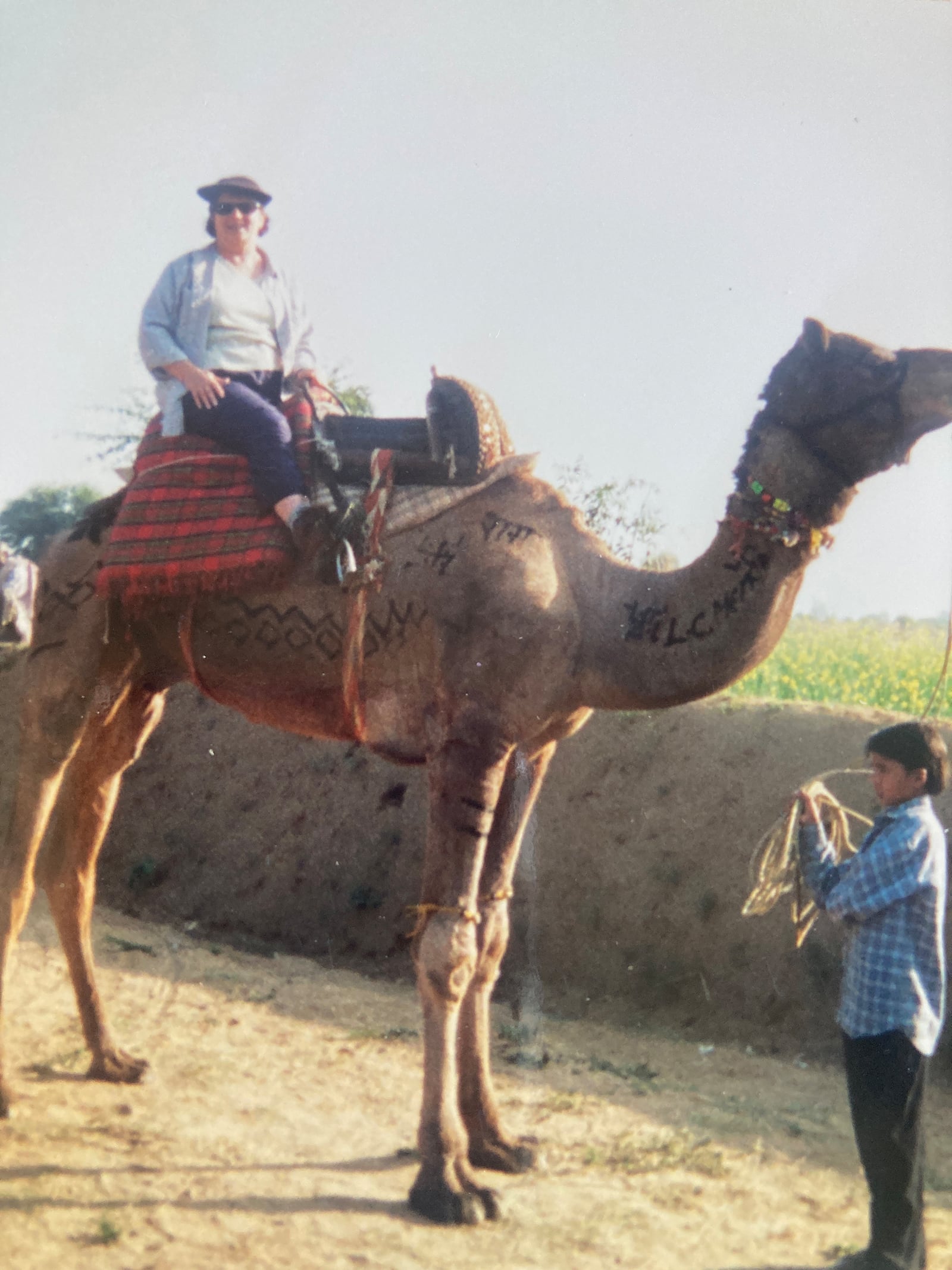 Pat Bell in India in December of 2001, where she took a ride on a camel. CONTRIBUTED