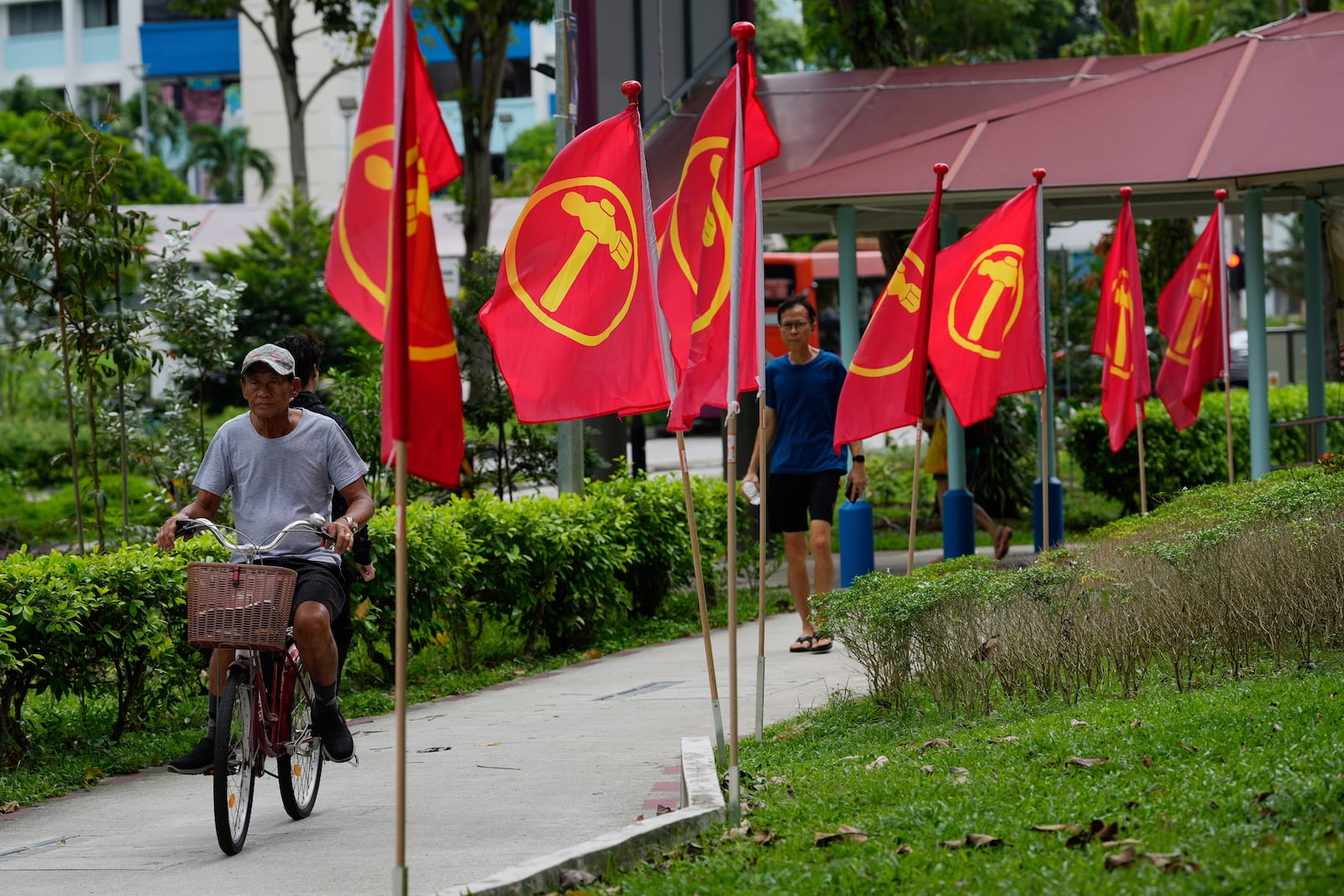 A Singaporean rides his bike next workers' party flags at Hougang area in Singapore, Friday, May 2, 2025. (AP Photo/Vincent Thian)