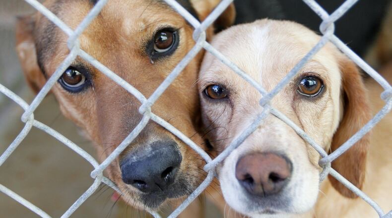 Clark County commissioners won’t send lost or stray dogs picked up by the dog warden to a shelter in Montgomery County, they said in a news release.