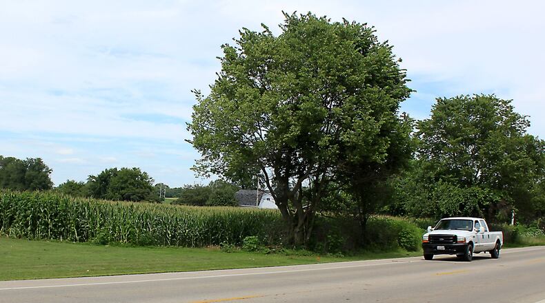 This cornfield in the 6100 block of West National Road in Clark County is the proposed site for a possible Dollar General store. Jeff Guerini/Staff