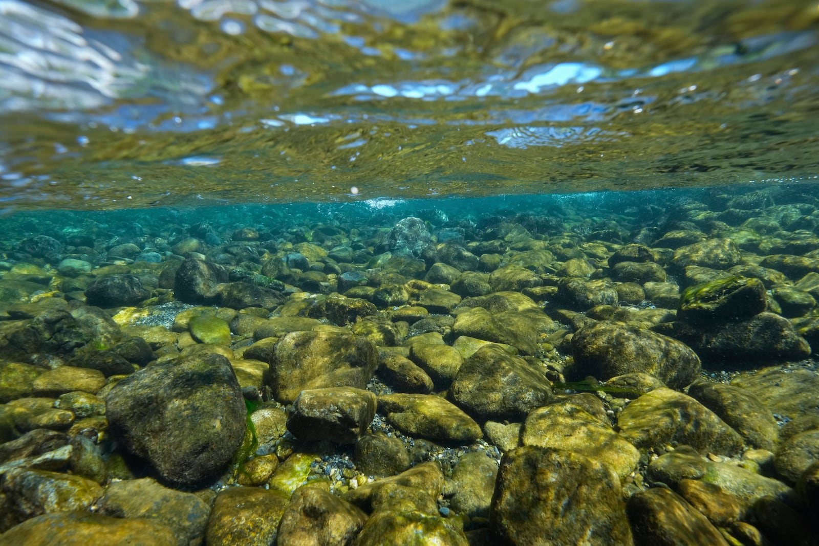 The bottom of Blue Creek is visible on Thursday, Sept. 19, 2024, in Humboldt County, Calif. (AP Photo/Godofredo A. Vásquez)