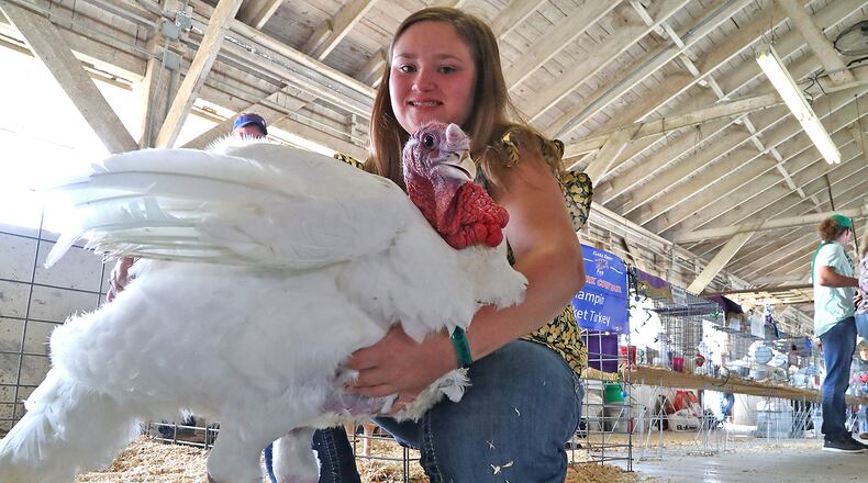 Aubrey Anderson with her prize winning turkey Friday, July 29, 2022 at the Clark County Champions Showcase and Jr. Fair Auction. Aubrey is donating all the money from the sale of her turkey to the family of fallen Clark County Deputy Matthew Yates. The turkey sold for $5,000. BILL LACKEY/STAFF