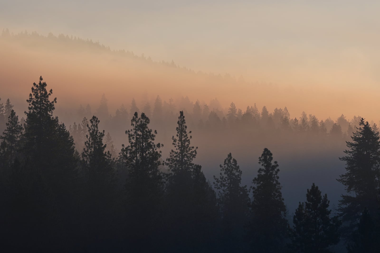 Smoke fills the air the day after a shooter ambushed and killed multiple firefighters responding to a wildfire at Canfield Mountain Monday, June 30, 2025, in Coeur D'Alene, Idaho. (AP Photo/Lindsey Wasson)