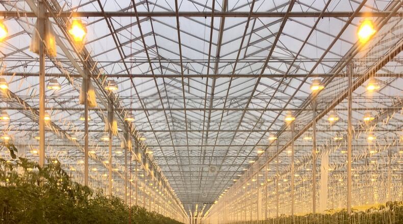 Golden Fresh Farms, a Canadian-based company, opened a $22.5 million, 20-acre greenhouse last week in the West Central Ohio Industrial Center, in Wapakoneta near I-75 and U.S. 33. Theopening groundbreaking represents just one phase of the project, which will expand over the next several years. STEVE BAKER