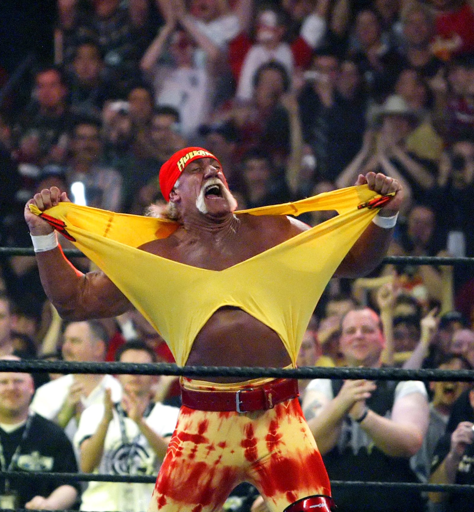 FILE - Hulk Hogan fires up the crowd between matches at WrestleMania 21 at the Staples Center in Los Angeles, April 3, 2005. (AP Photo/Chris Carlson, File)