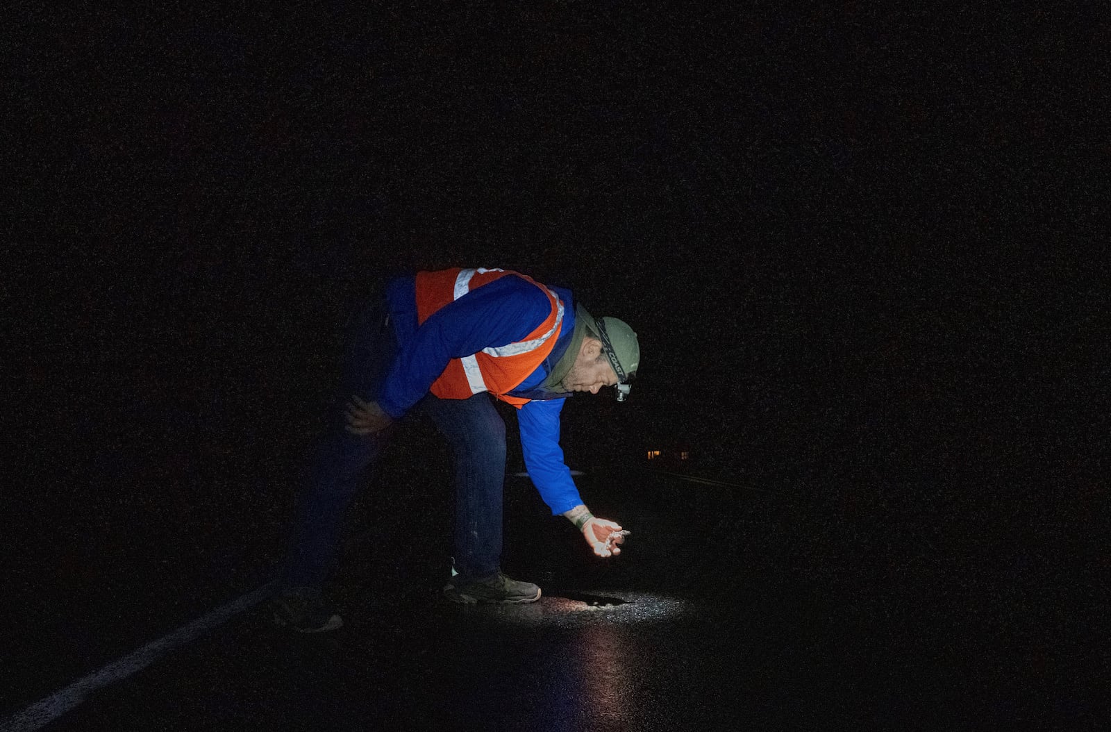 John Bateman, a wildlife professor, helps a spotted salamander cross a road Friday, March 28, 2025, in Honeoye, N.Y. (AP Photo/Maryel Pryce)