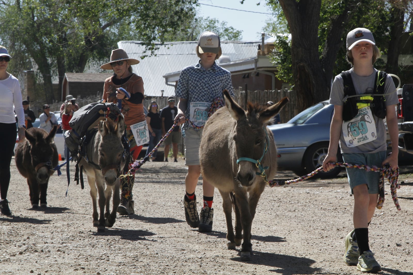 Pack burros and their human companions race through the streets of a former mining town and across backcountry desert trails in Cerrillos, N.M., on Saturday, May 3, 2025. (AP Photo/Morgan Lee)