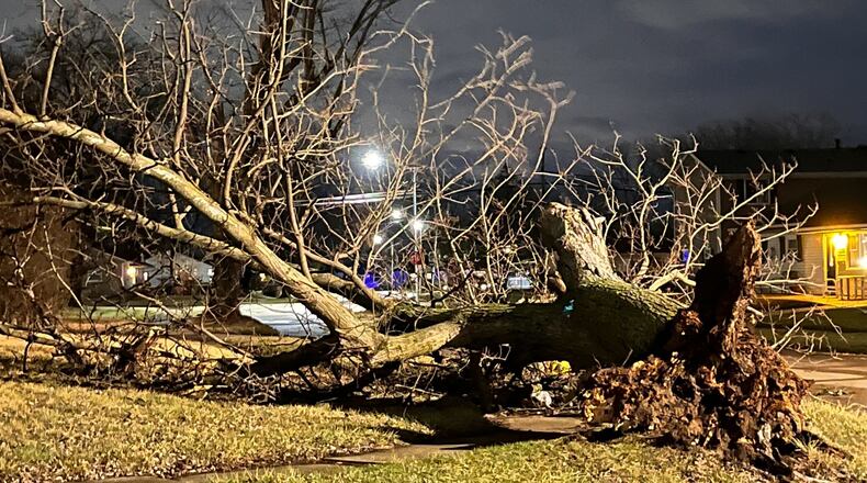 Strong winds knocked down a large tree Thursday, Jan. 19, 2023, on Midvale Street in Kettering. STAFF PHOTO
