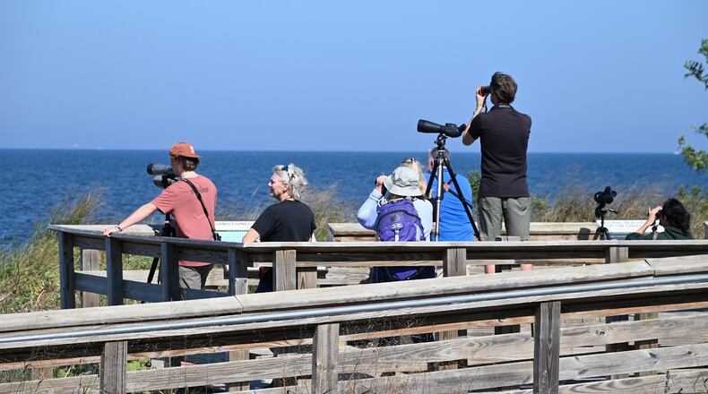 The Headlands Birding Festival will be held Sept. 19-21 in Mentor, Ohio. Contributed