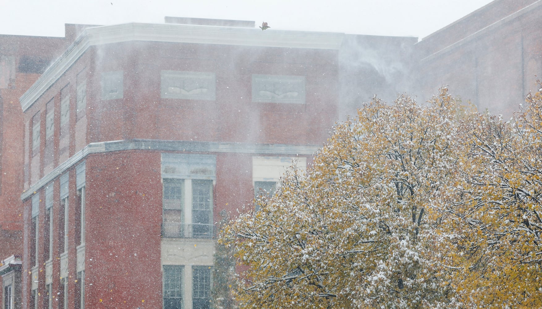 November 2025 Springfield Snow 