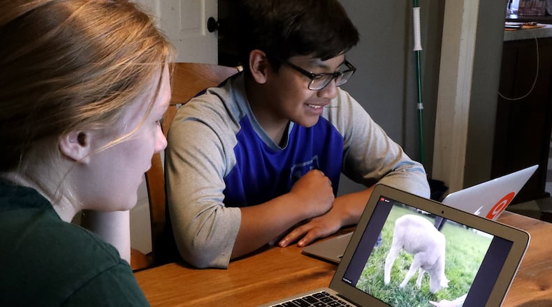 More than 1 million students in the U.S. and three continents have visited a farm through the Virtual Farm Trip program since 2015, including Global Impact STEM Academy. In this file photo, GISA students, Aubree Keener and her brother, Grey, took a virtual tour of a sheep farm at their home a few years ago. GISA has participated in several Virtual Farm Trips (VFT), which is ran by Shift-ology, over the years. VFTs connect students in the classroom to farmers in the barns/fields. FILE/BILL LACKEY/STAFF
