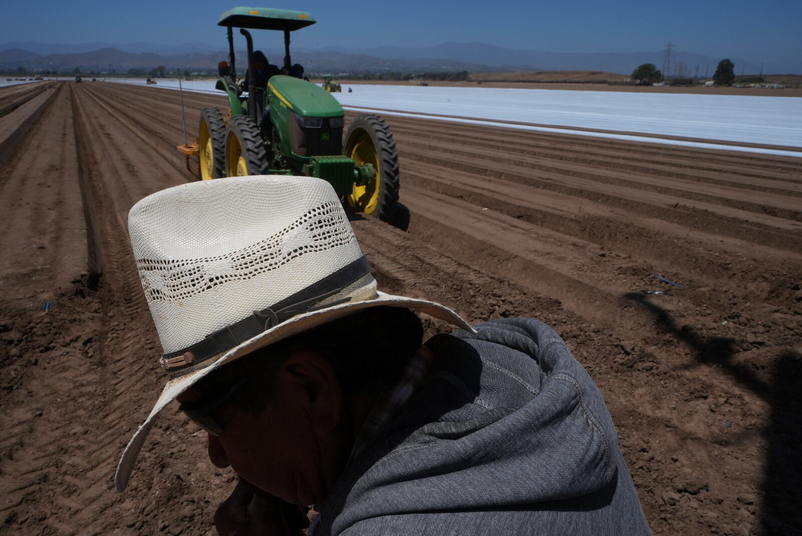 Farm workers plow the land for a strawberry field in Oxnard, Calif., on Wednesday, June 18, 2025. (AP Photo/Damian Dovarganes)