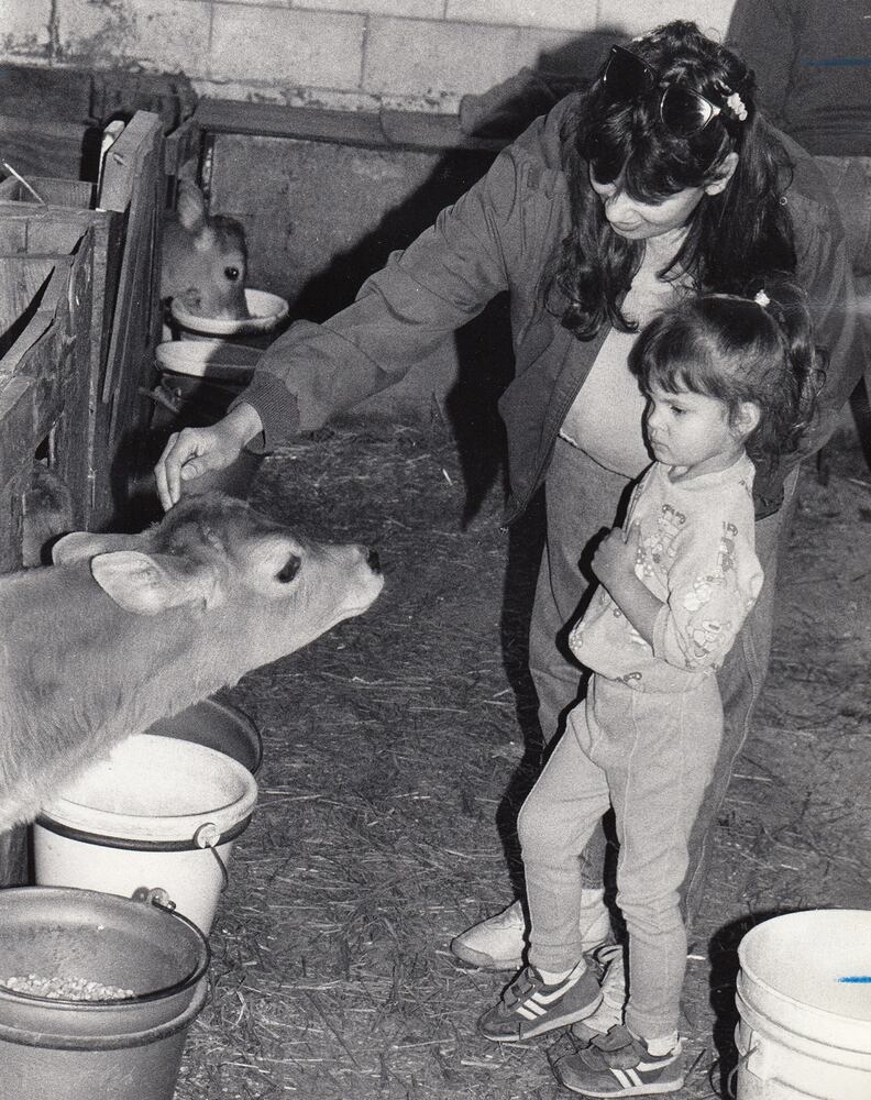 Young's Jersey Dairy