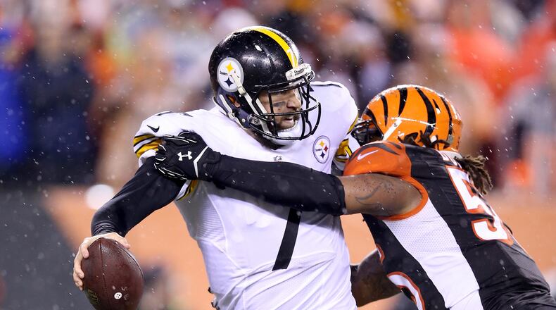 Bengals linebacker Vontaze Burfict sacks Ben Roethlisberger of the Steelers during the AFC Wild Card Playoff game at Paul Brown Stadium on January 9, 2016. The result of that day surely will not repeat itself either time Cincinnati plays Pittsburgh this season.