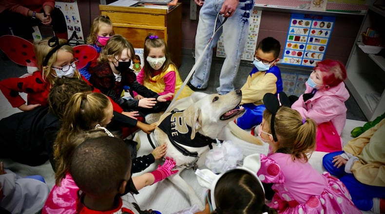 Pete the Therapy Dog at Horace Mann Elementary. Contributed
