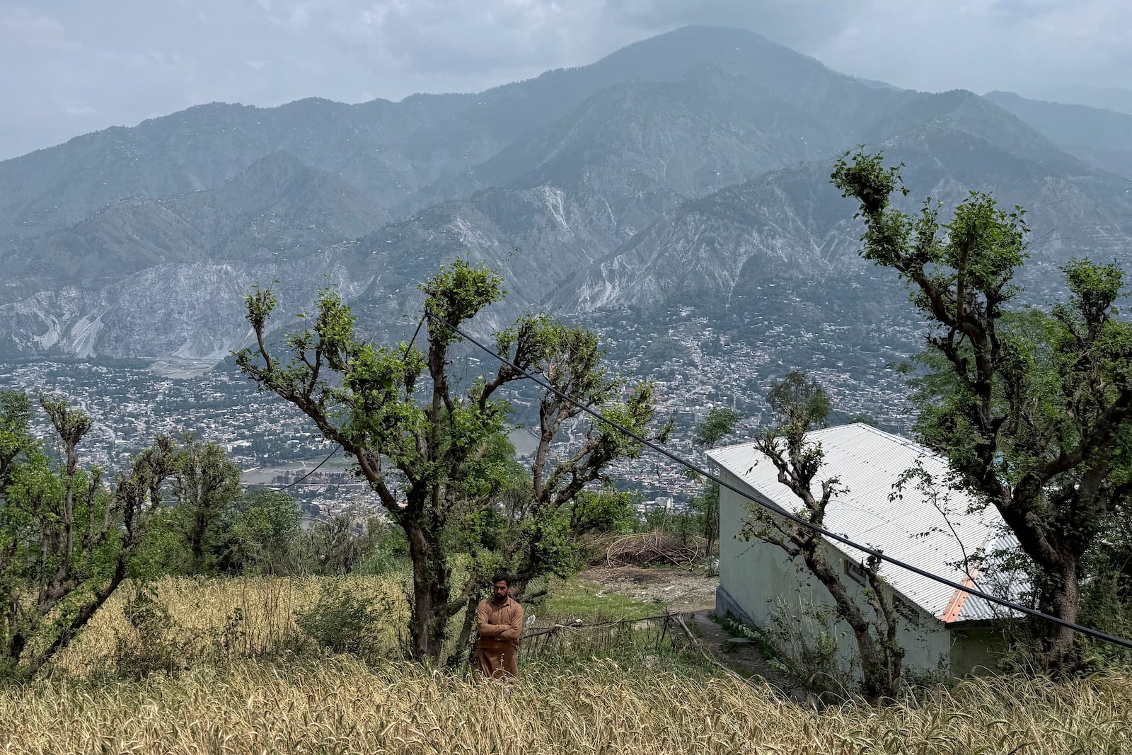 A villager walks through a wheat field during a government's organized trip for media to Bella Noor Shah, a mountainous village near Muzaffarabad, the capital of Pakistan administered Kashmir, Monday, May 5, 2025. (AP Photo/Muhammad Yousuf, Pool)