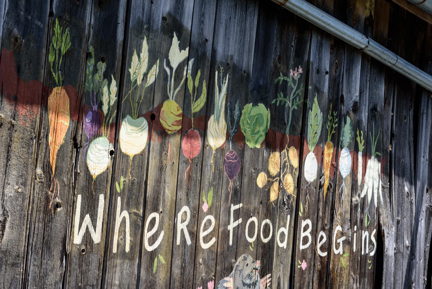PHOTOS: Wooly Wonders - Spring on the Farm Family Event at Learning Tree Farm