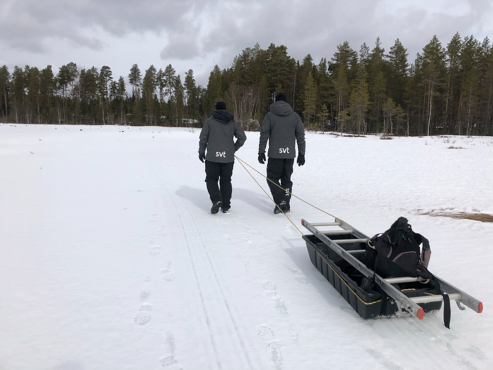 This undated photo, issued by SVT, shows preparations in Junsele, Sweden for the livestream 'The Great Moose Migration' to document the annual Moose migration near Kullberg in northern Sweden. (SVT via AP)