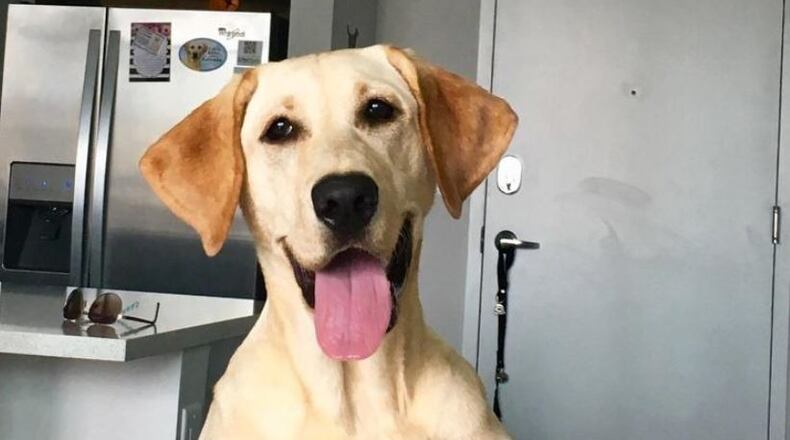 Sunny the ice cube connoisseur. LAUREN BISANZ/CONTRIBUTED