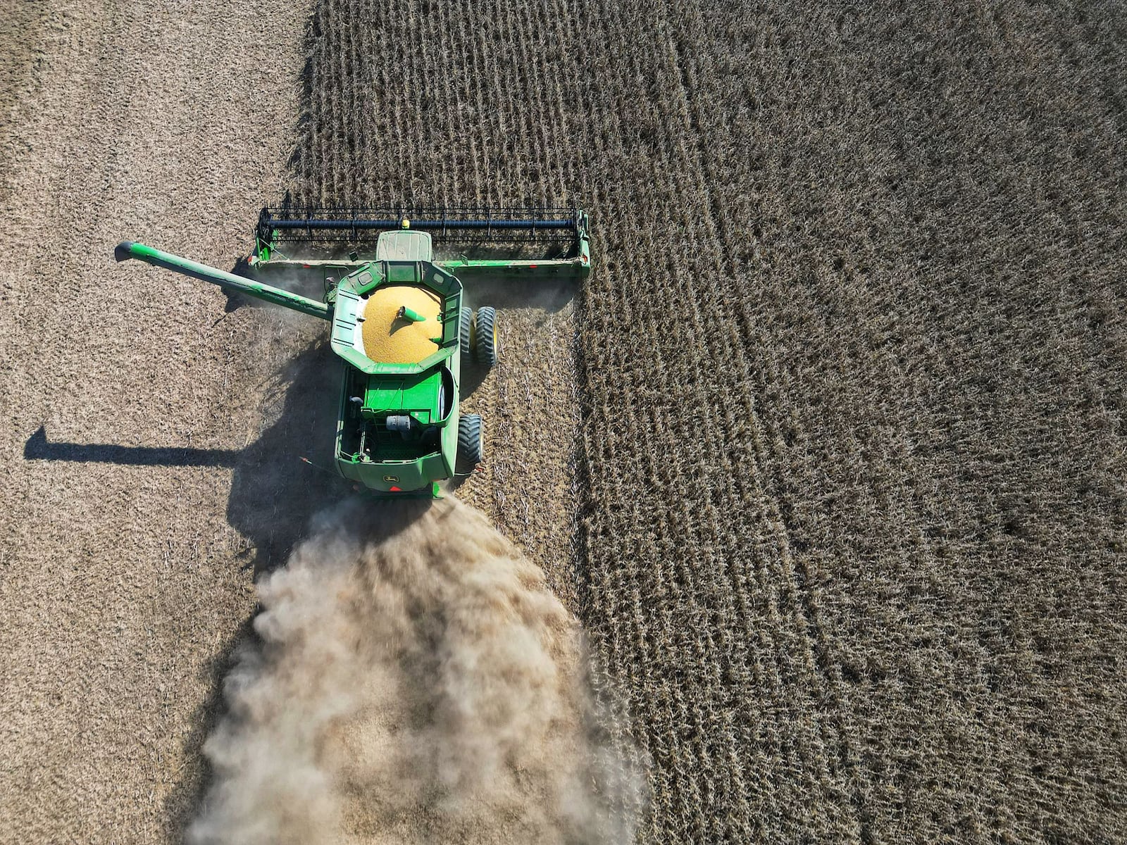 Gary Gerber and crew harvest soybeans in Wayne Township in Butler County, Sept. 29, 2025. Farmers would normally have logged billions in soybean orders from China by this time of the year. NICK GRAHAM / STAFF
