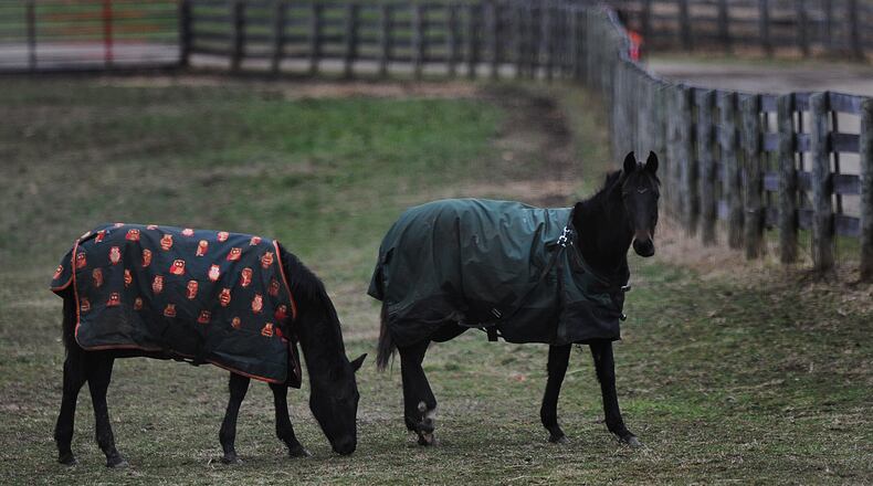 If you go outside this weekend to horse around and have fun, make sure you wear a coat like these horses on state Route 4 near Fairborn. MARSHALL GORBY\STAFF