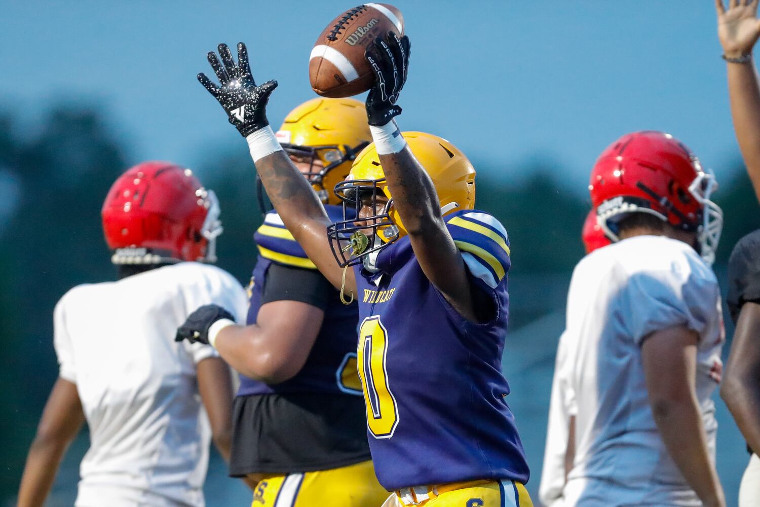 springfieldfb