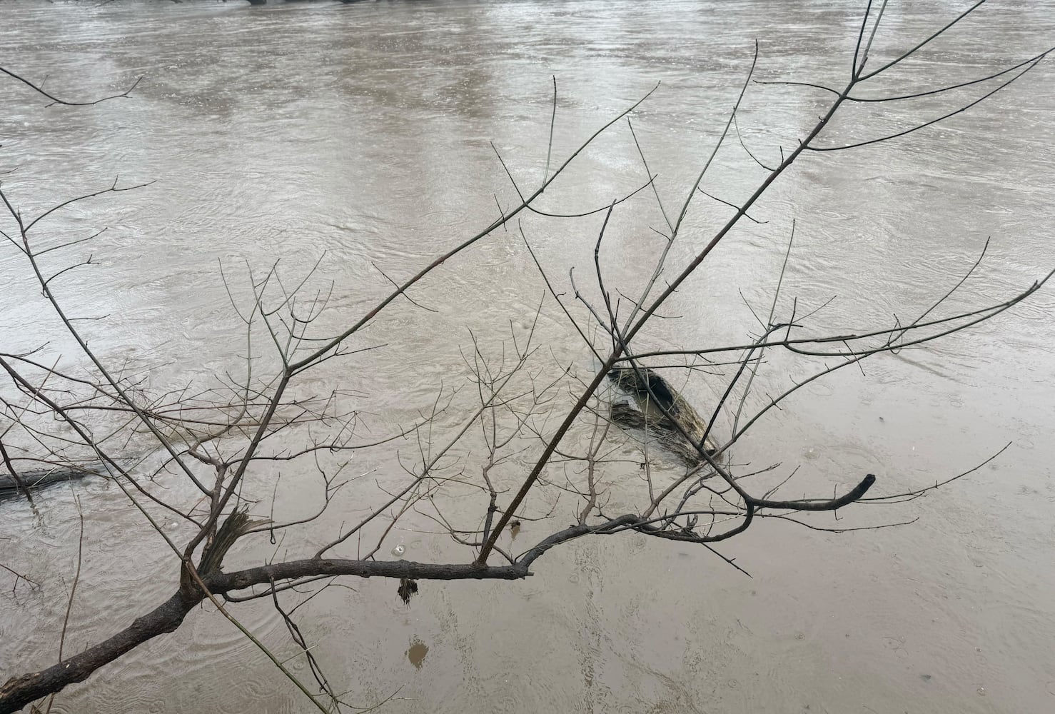 Springfield Flooding