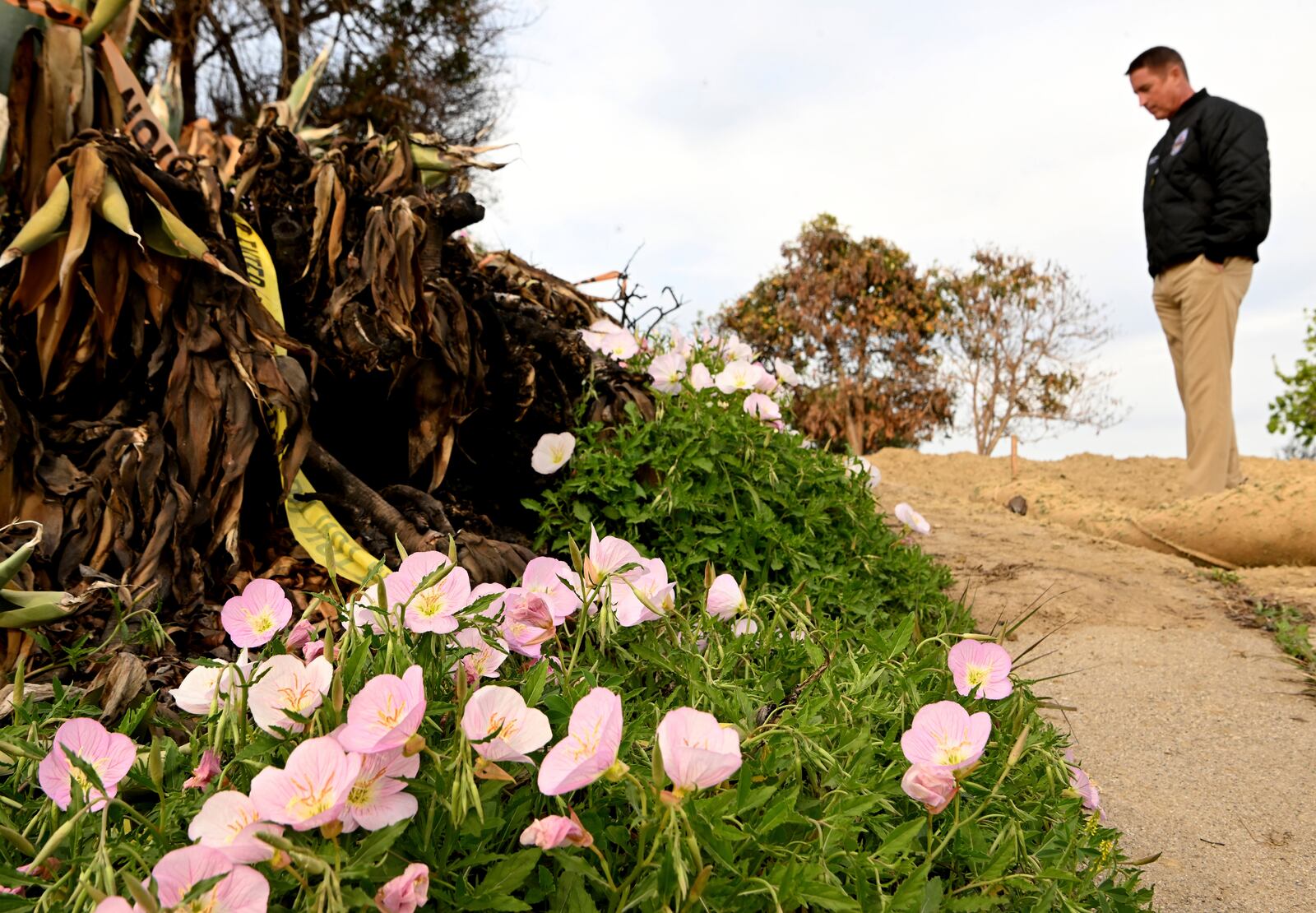 Supervisor Jeff Gorrell stands next to damage from the Mountain Fire along Old Coach Drive in Camarillo Wednesday, April 16, 2025, in Camarillo, Calif. (AP Photo/Wally Skalij)
