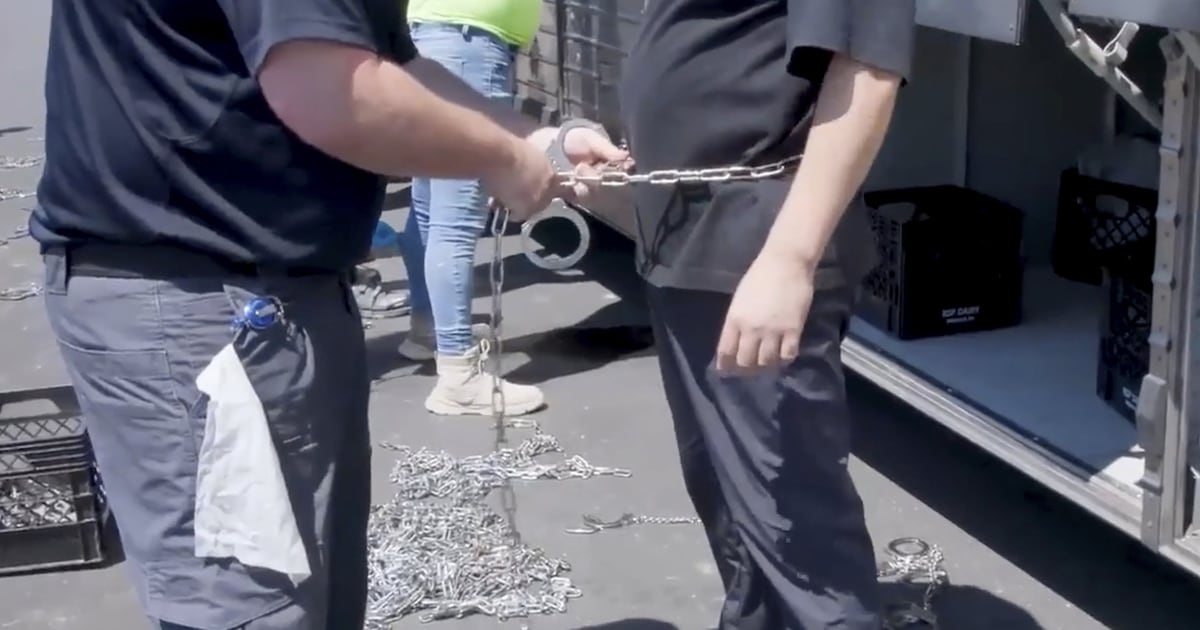South Koreans feel betrayed by workforce detentions at Georgia Hyundai plant
