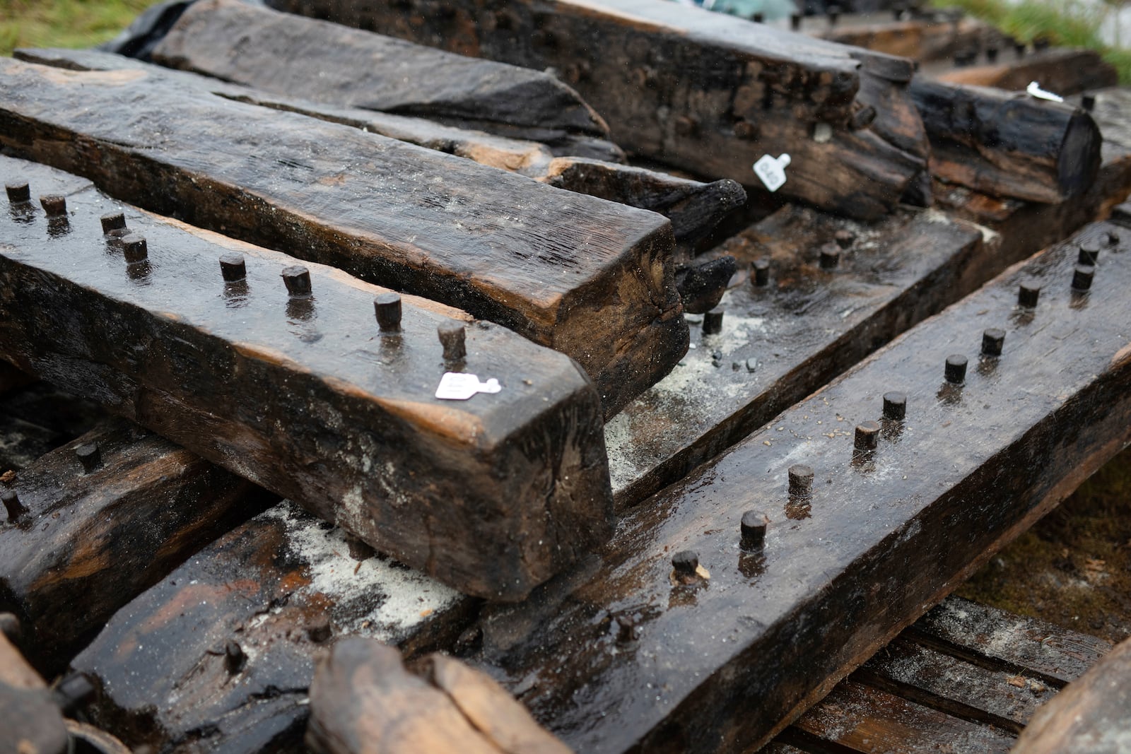 In this image provided by Wessex Archaeology, the Sanday Wreck timbers are seen before being placed in a freshwater tank at the Sanday Heritage Centre, on Orkney, Sept 23, 2024. (Fionn McArthur/Wessex Archaeology via AP)