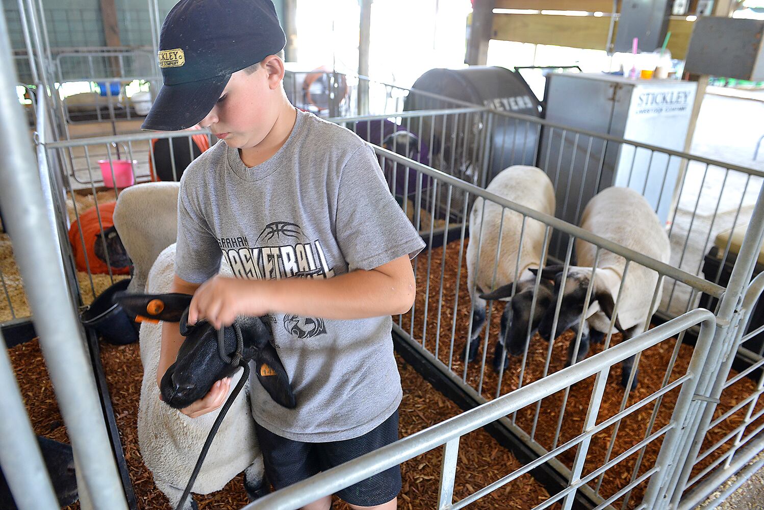 Champaign County Fair Opening Day