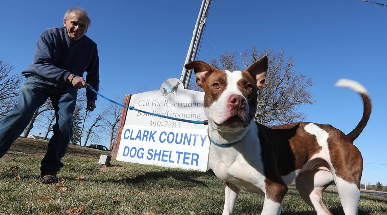 Clark County Dog Shelter Volunteer, Matt Anderson, walks a dog in 2017. The Clark County Dog Shelter will not be conducting adoptions for the next two weeks due to possible exposure to the contagious canine parvovirus, according to a statement from the county. Bill Lackey/Staff