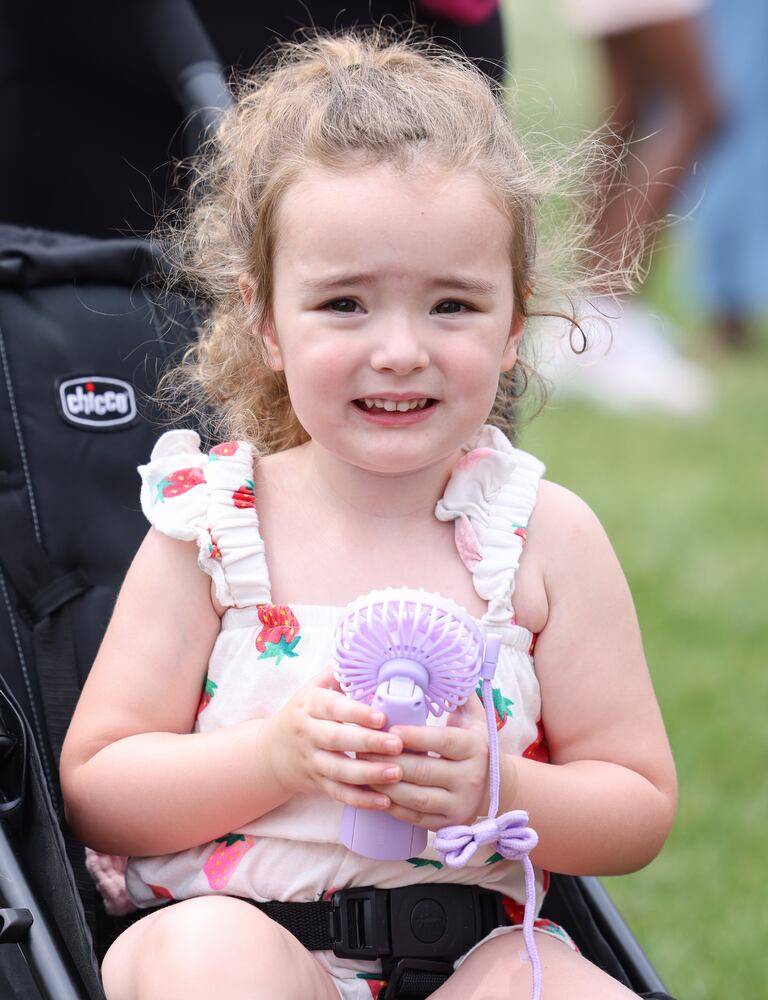 Troy Strawberry Festival 2025 061725 DDN