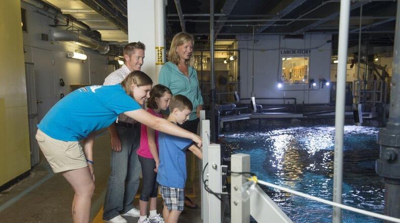 File photo: Newport Aquarium in Northern Kentucky is a popular “learning” destination for many families. CONTRIBUTED