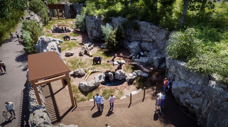 A rendering of the plan for the Cincinnati Zoo's new black bear exhibit. CONTRIBUTED