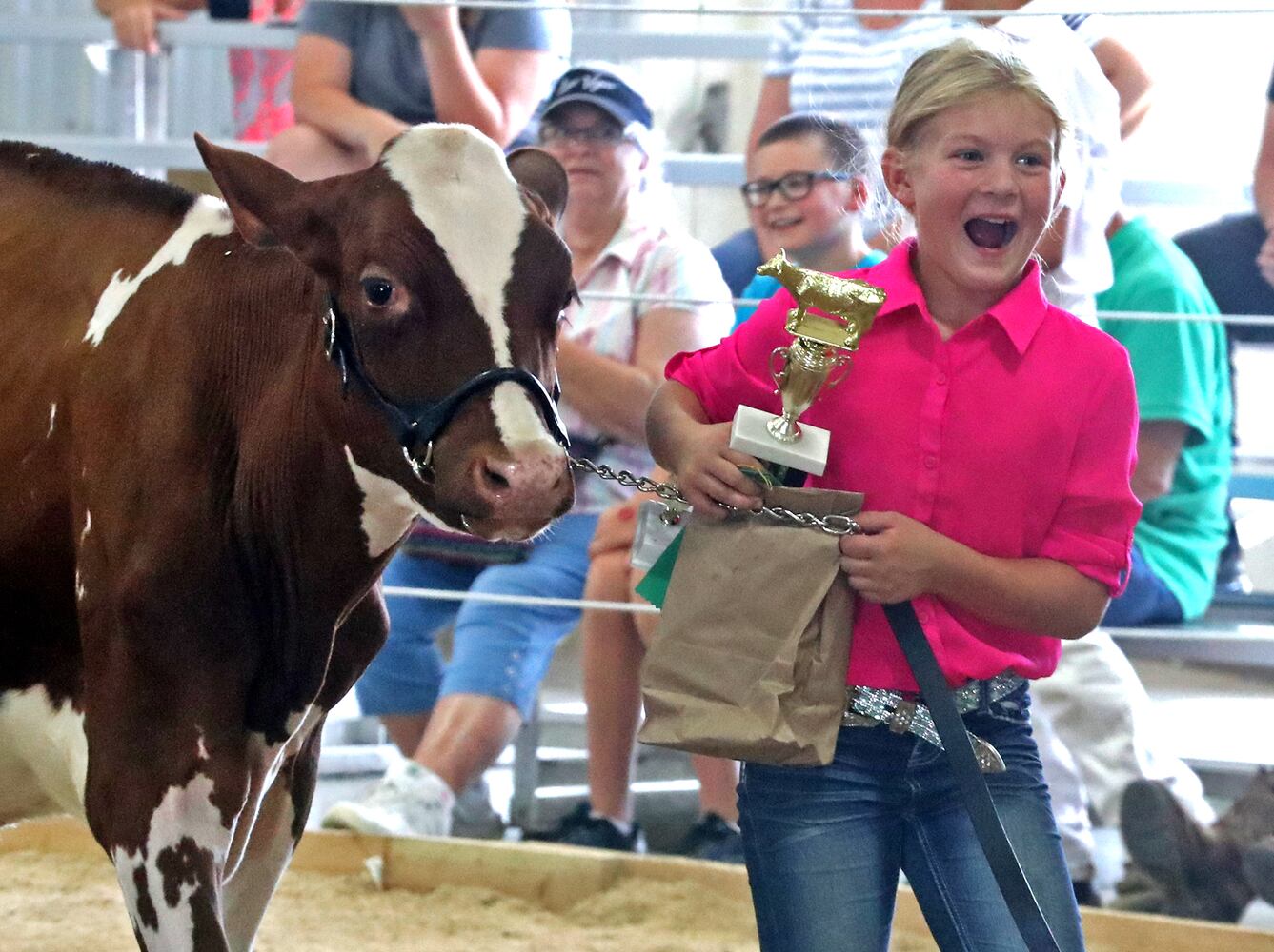 2018 Champaign County Fair - Monday