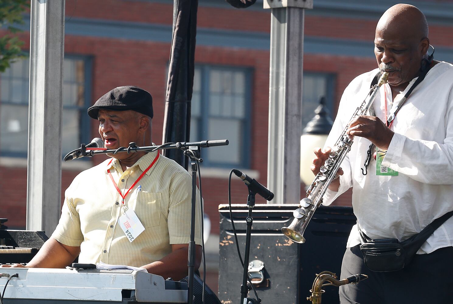 Springfield Jazz and Blues Fest SNS