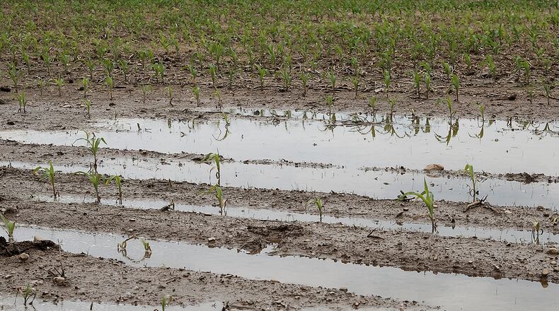Excessive rain is delaying planting for Clark County farmers. Bill Lackey