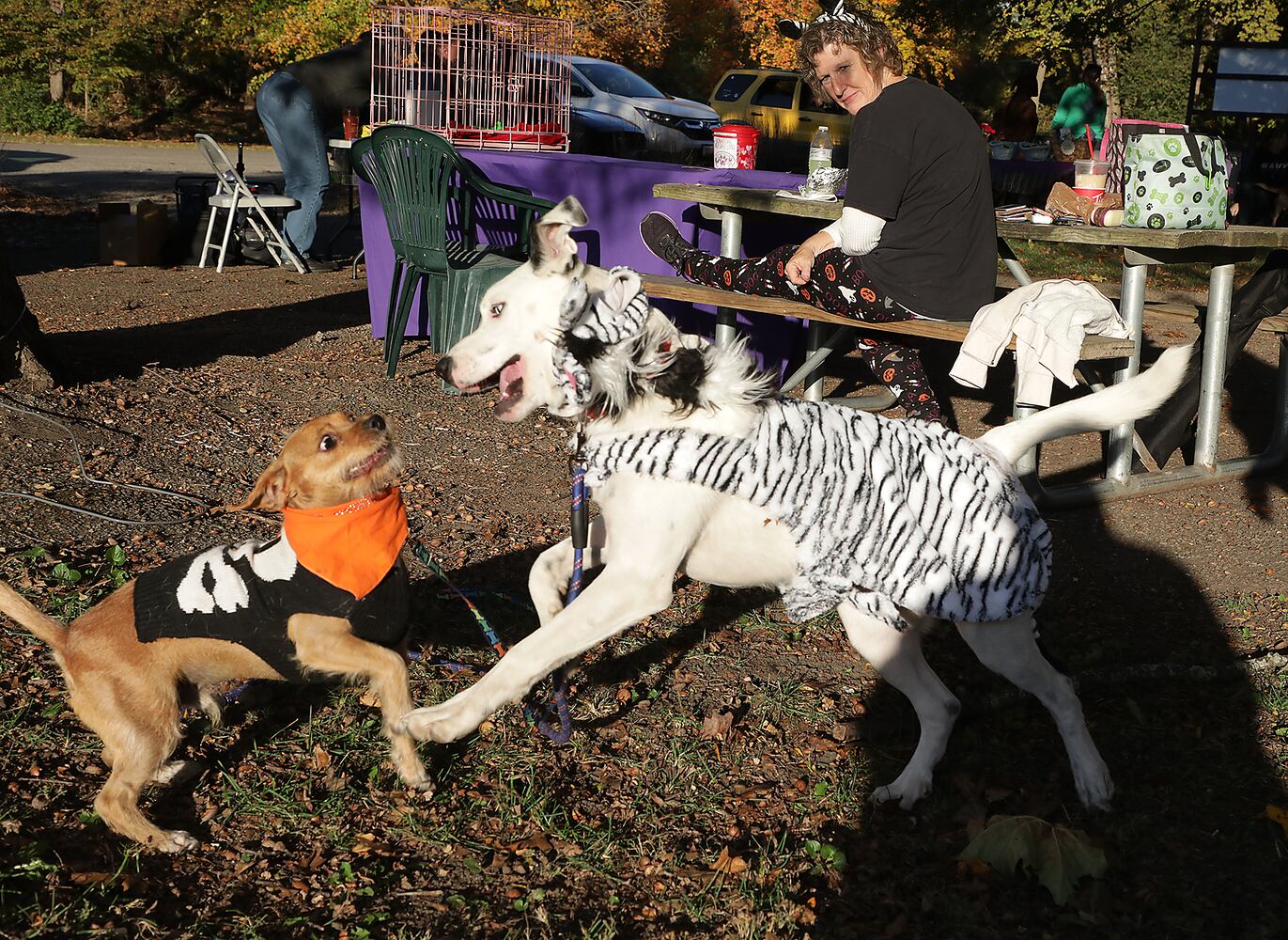 PHOTOS:  Yappy Howl-O-Ween